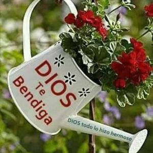 Meet your Posher, Alcira